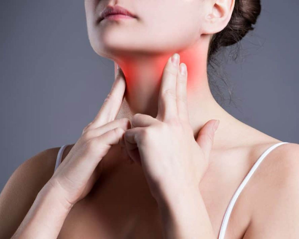 Щитовидная железа – «королева» метаболизма
